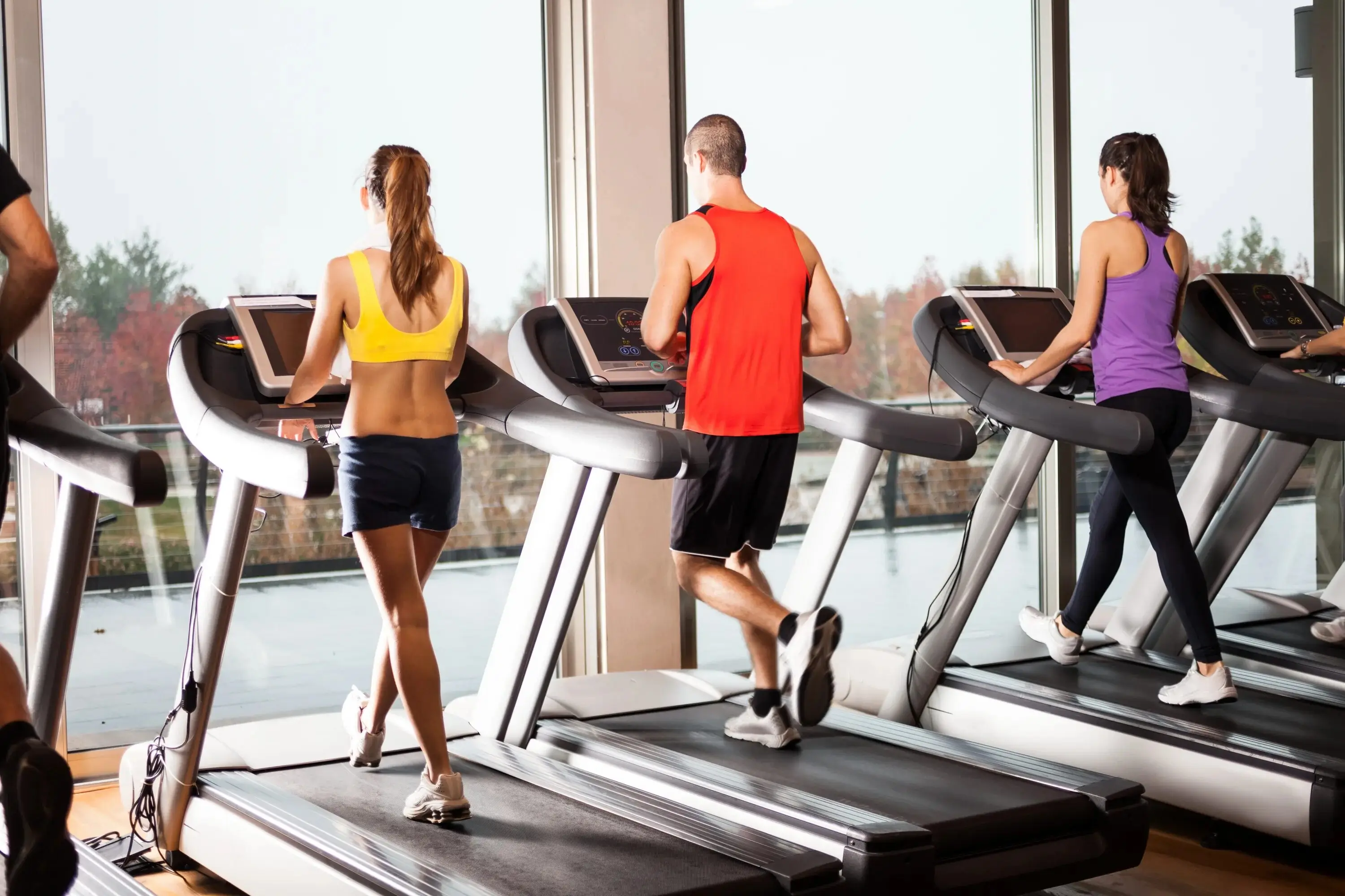 Elite Runner Treadmill