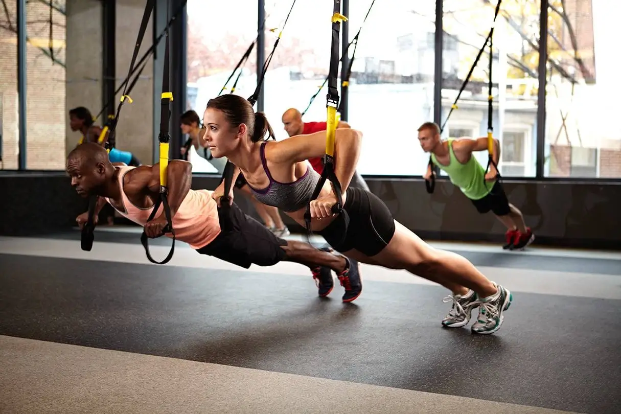 Total Body Gym System